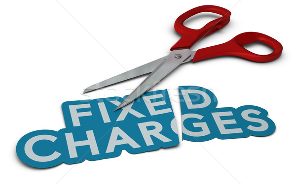 Cost Cutting, Fixed Charges Stock photo © olivier_le_moal