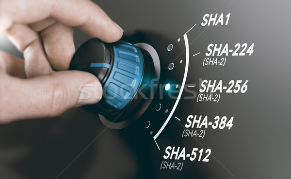 Cryptography Concept, Cryptographic Hash Algorithm SHA-2 Stock photo © olivier_le_moal
