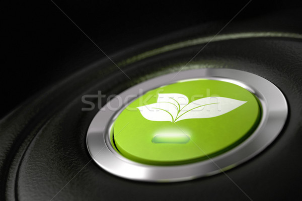green driving, fuel economy Stock photo © olivier_le_moal
