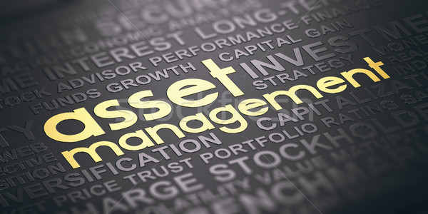 Asset Management Background, Words Cloud Concept In Black and Go Stock photo © olivier_le_moal