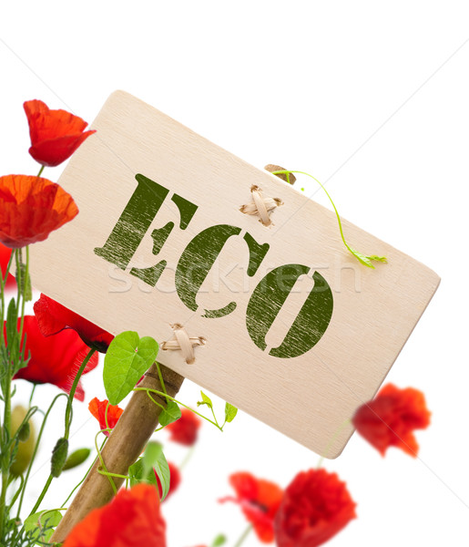 商業照片: 綠色 · 簽署 · 生態 · 木 · 面板 · 植物