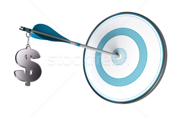 Successful Dollars Investment Concept Stock photo © olivier_le_moal
