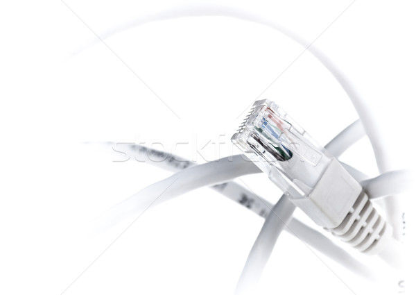 one rj45 plugs and cable, technology border Stock photo © olivier_le_moal