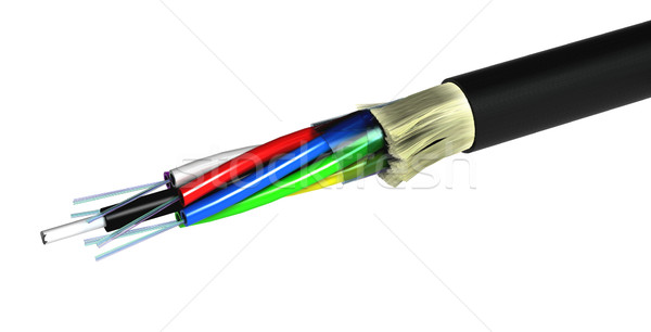 Optical Fiber Cable Over White - 3D Render Stock photo © olivier_le_moal