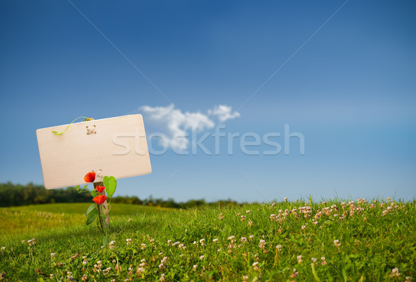 Stock photo: green sign - eco friendly communication