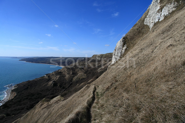 Dorset Coast England Stock photo © ollietaylorphotograp