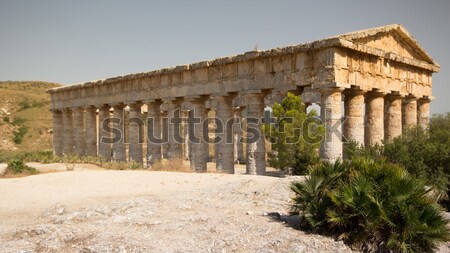 The Doric temple of Segesta Stock photo © ollietaylorphotograp
