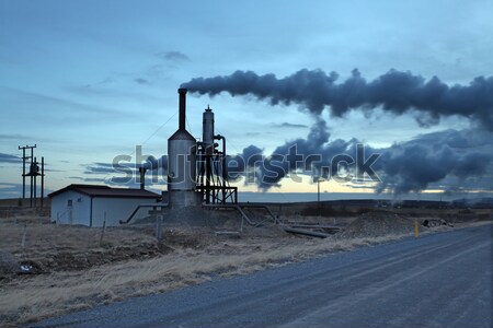 Energie IJsland stoom plant hemel voorjaar Stockfoto © ollietaylorphotograp