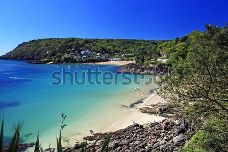 Salcombe Beach Devon England Stock photo © ollietaylorphotograp