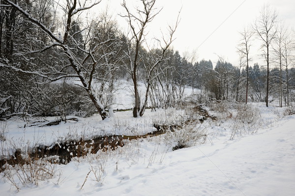 Tél tájkép bohém Svájc hó cseh Stock fotó © ondrej83