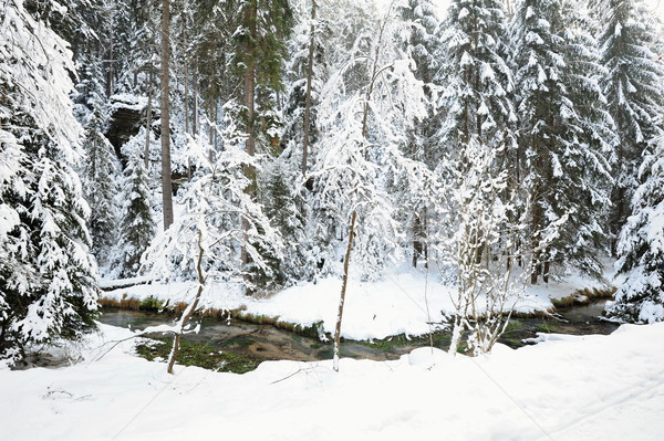 зима пейзаж богемский Швейцария снега чешский Сток-фото © ondrej83
