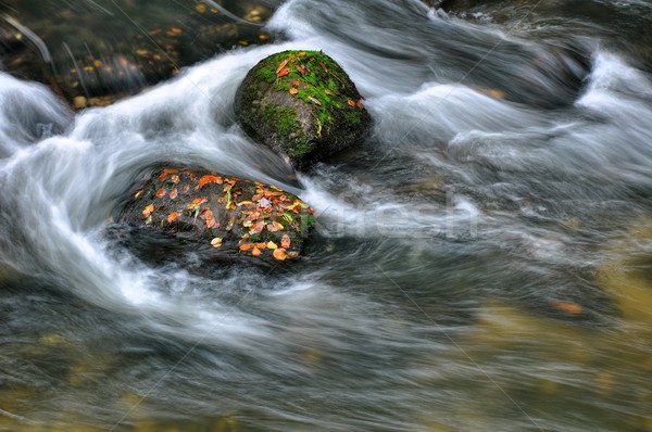 Otono río piedras rápido rocas Foto stock © ondrej83