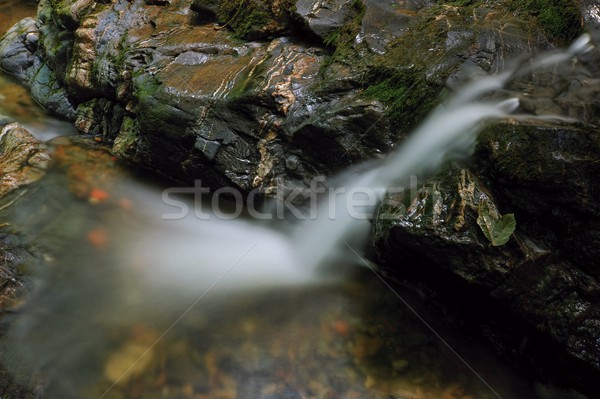 Tavasz patak kicsi vízesés kő fa Stock fotó © ondrej83