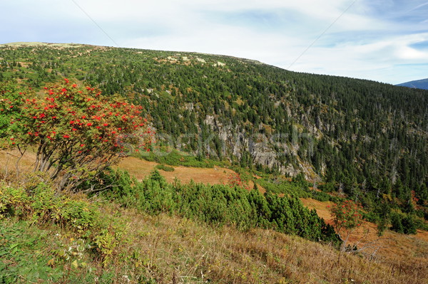 View of the rocky landscape Stock photo © ondrej83