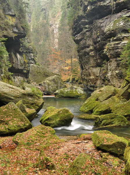 River in gorges Stock photo © ondrej83