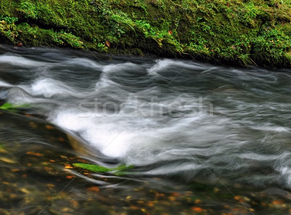 [[stock_photo]]: Automne · rivière · rapide · roches · forêt