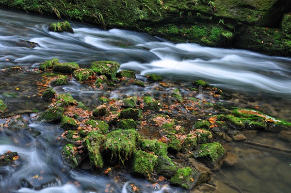 Autumn river with stones Stock photo © ondrej83