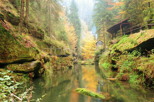 Stock fotó: ősz · színek · folyó · színes · fák · levelek