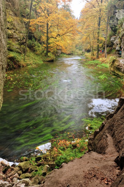 [[stock_photo]]: Automne · couleurs · rivière · arbres · laisse