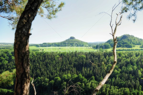 Landscape Saxon Switzerland Stock photo © ondrej83