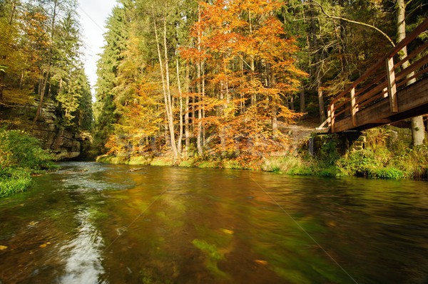 Automne couleurs rivière bois pont Photo stock © ondrej83