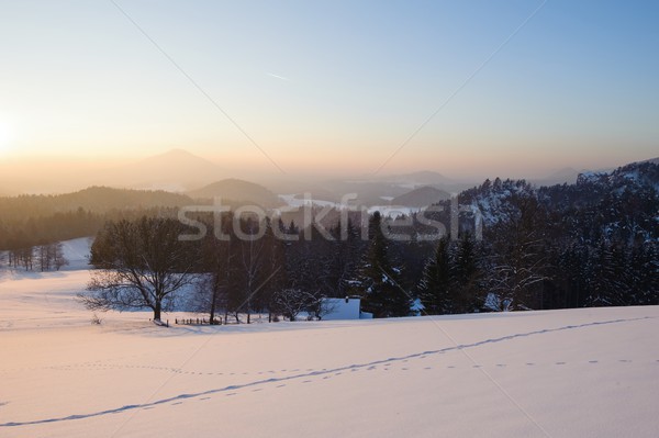 зима Панорама чешский Швейцария снега мороз Сток-фото © ondrej83