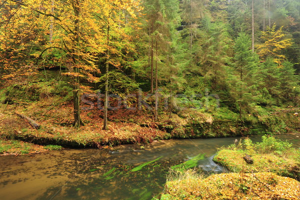 Automne couleurs rivière arbres laisse [[stock_photo]] © ondrej83