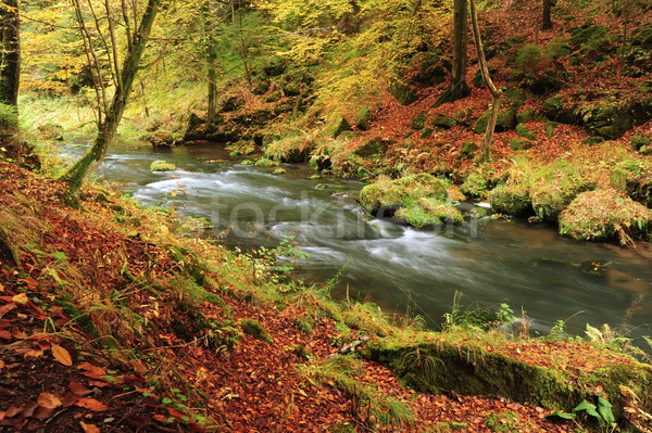 Autumn colors river Stock photo © ondrej83