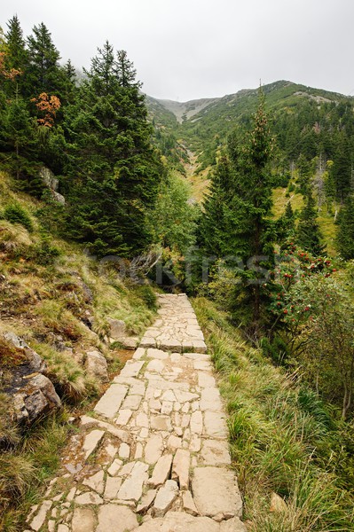 Pierre montagne paysage pin nuageux ciel [[stock_photo]] © ondrej83