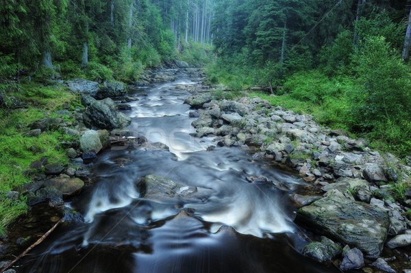Blanice river in Bohemia Stock photo © ondrej83