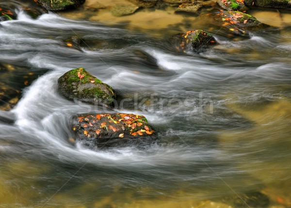 Autumn river with stones Stock photo © ondrej83
