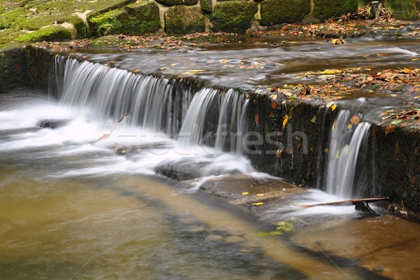 Autumn river with stones Stock photo © ondrej83