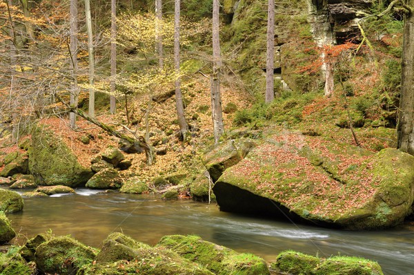 Autumn river with stones Stock photo © ondrej83