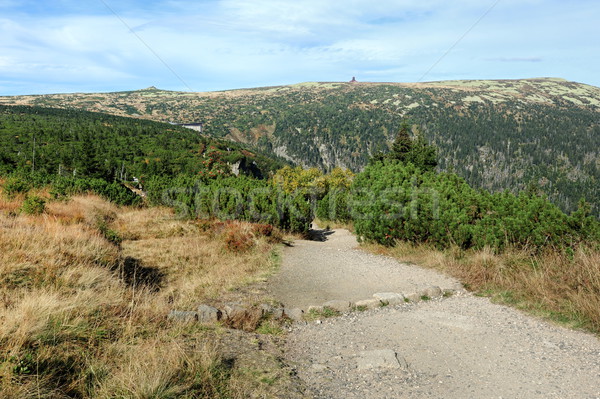 View of the rocky landscape Stock photo © ondrej83