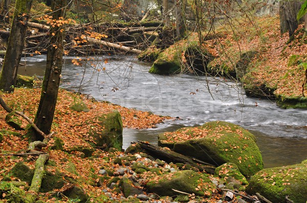 Rivière faible sauvage paysage roches arbre [[stock_photo]] © ondrej83