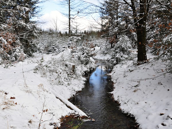 Winter creek Stock photo © ondrej83