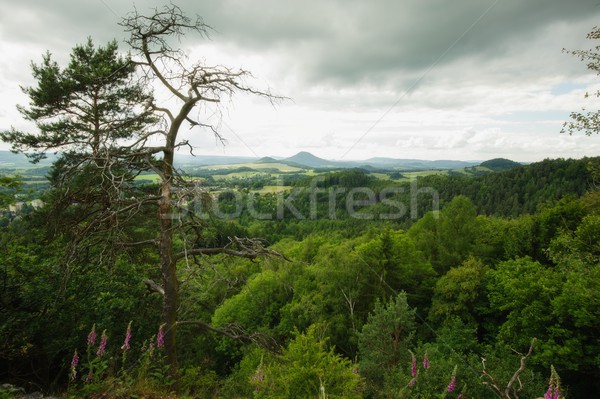 Peisaj boem frumos călători piatră panoramă Imagine de stoc © ondrej83
