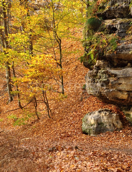 Rocks in Czech Switzerland Stock photo © ondrej83