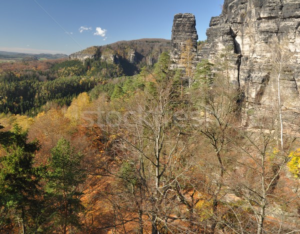 Rocks in Czech Switzerland Stock photo © ondrej83