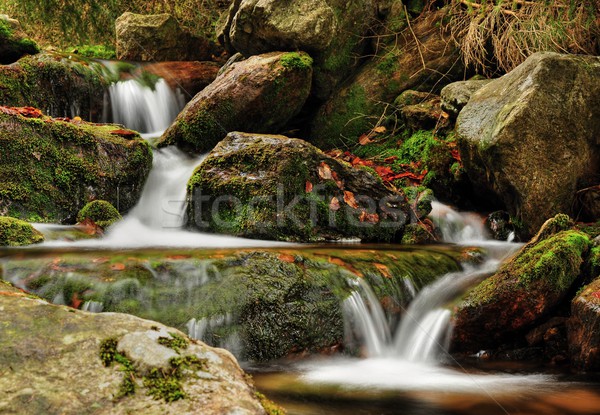 Foto stock: Primavera · enseada · canal · musgo · árvore