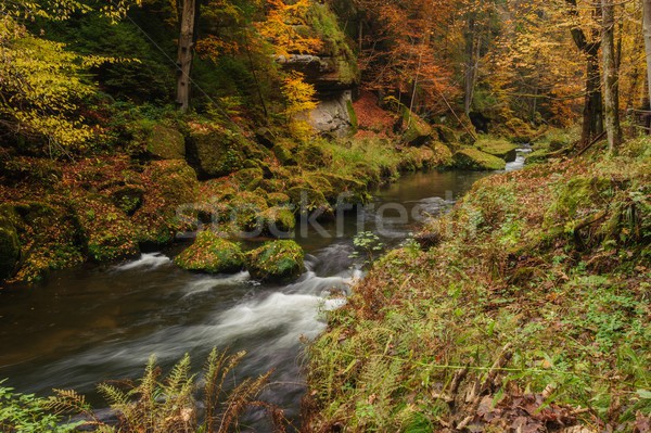 Stockfoto: Najaar · kleuren · rivier · gekleurd · bomen · bladeren