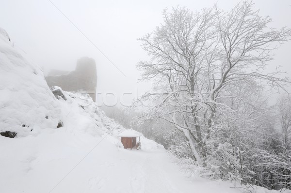 Hiver forêt neige gel décembre [[stock_photo]] © ondrej83