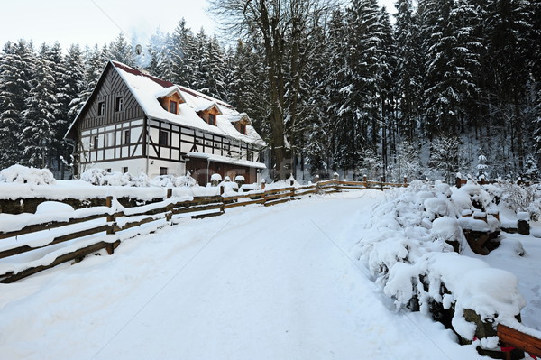 Inverno paisagem boêmio Suíça neve tcheco Foto stock © ondrej83