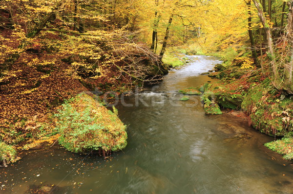 ストックフォト: 秋 · 色 · 川 · 木 · 葉