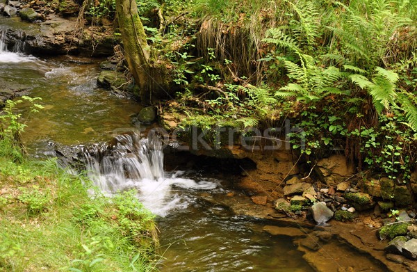 Wodospady piękna wodospad objętych skał mały Zdjęcia stock © ondrej83