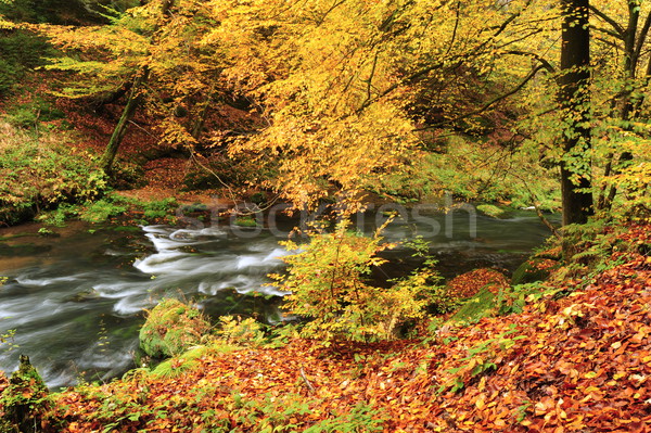 Stok fotoğraf: Sonbahar · renkler · nehir · renkli · ağaçlar · yaprakları
