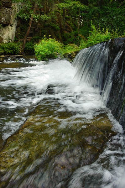 [[stock_photo]]: Rivière · sauvage · forêt · tchèque · Suisse · eau