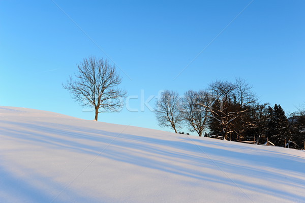 Hiver panorama tchèque Suisse neige gel [[stock_photo]] © ondrej83