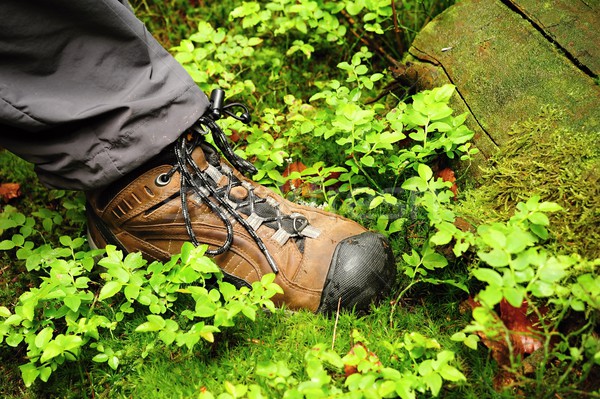 Man's foot in the shoe hiking in the green grass in man's Foot in the shoe  Stock photo © ondrej83