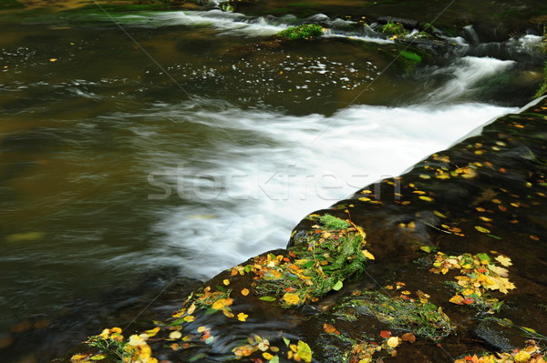 Detail Autumn River Stock photo © ondrej83